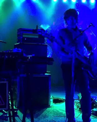 ALO - Animal Liberation Orchestra