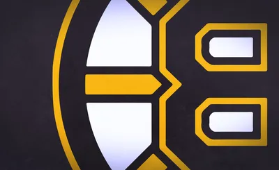 Boston Bruins