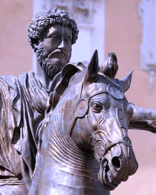 Daily Stoic Live