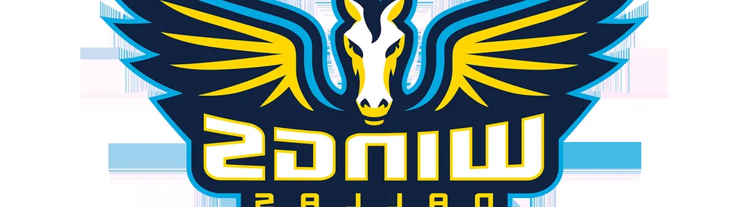 Dallas Wings