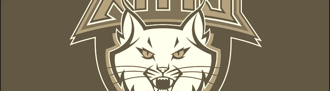 Minnesota Lynx