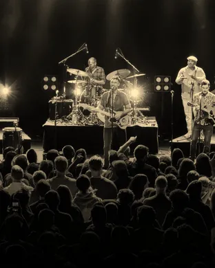 The Cat Empire