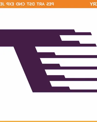 Toronto Tempo vs. Las Vegas Aces
